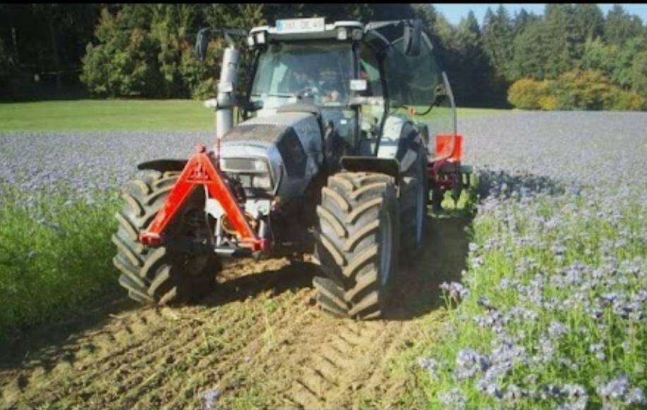 Schlepper mit Bluhwiese