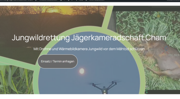 Screenshot 2026-09-04 213756